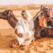 sahara desert camel ride