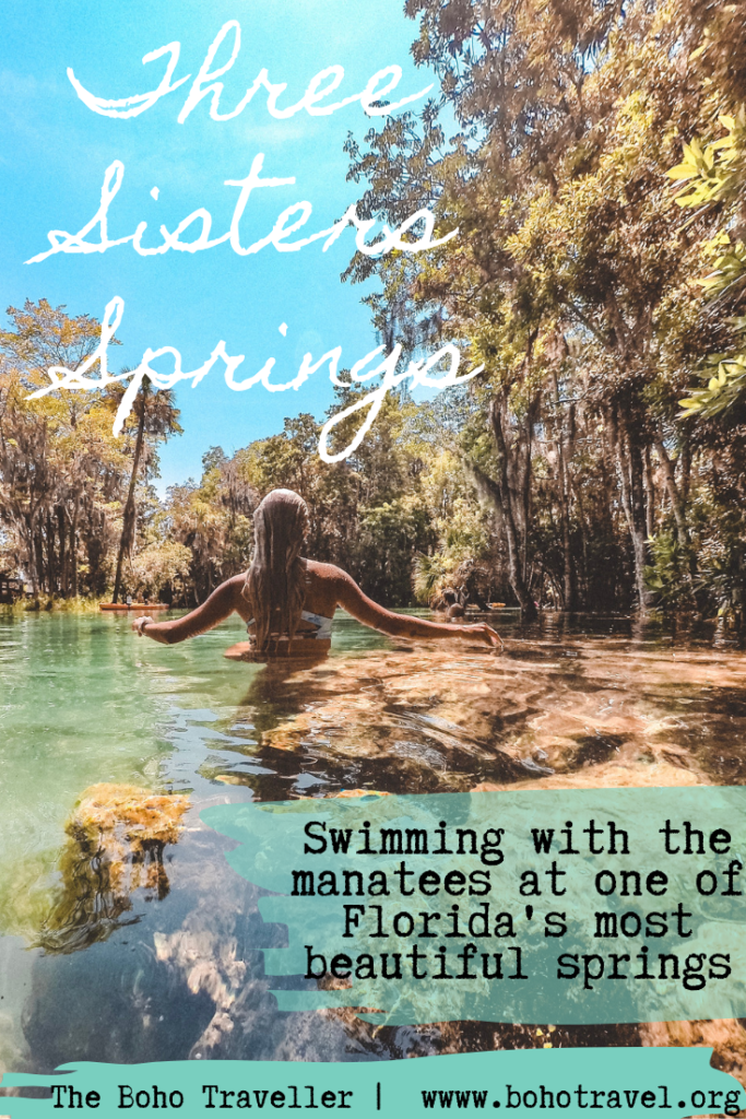 Three Sisters Springs in Crystal River Florida is a manatee haven! Learn all about how to visit the manatees and the best time of year to swim with them. All you know to know about florida springs that are some of the clearest in the state! #florida #loveFL #sunshinestate #outdoors #kayak