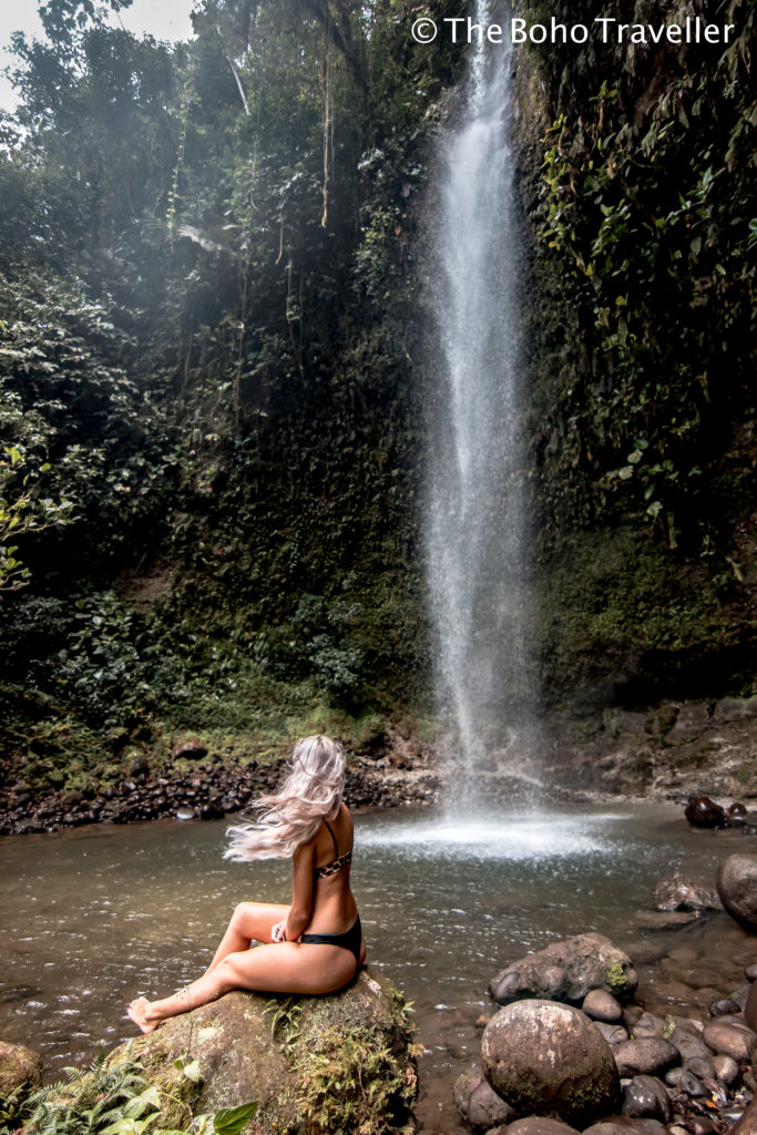 THE AMAZON RAINFOREST- This blog post will let you know what to expect and everything else you need to know for an Amazon Jungle excursion. #Ecuador is one of the best places to experience the #amazonrainforest. In #Banos, the rainforest is a short distance and makes it the perfect departure point! Overnight rainforest tours from Banos - Staying in the #amazon #rainforest in Ecuador. Ecuador travel tips | amazon travel tips | what to do in Ecuador | things to do in Banos | Banos day trips