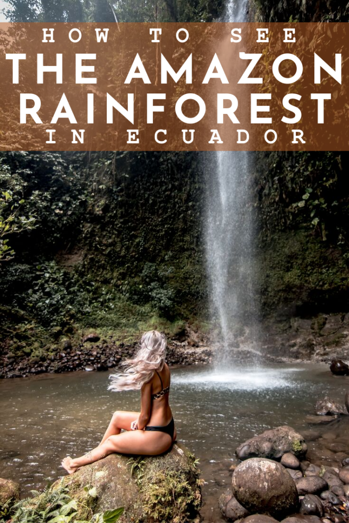 THE AMAZON RAINFOREST- This blog post will let you know what to expect and everything else you need to know for an Amazon Jungle excursion. #Ecuador is one of the best places to experience the #amazonrainforest. In #Banos, the rainforest is a short distance and makes it the perfect departure point! Overnight rainforest tours from Banos - Staying in the #amazon #rainforest in Ecuador. Ecuador travel tips | amazon travel tips | what to do in Ecuador | things to do in Banos | Banos day trips