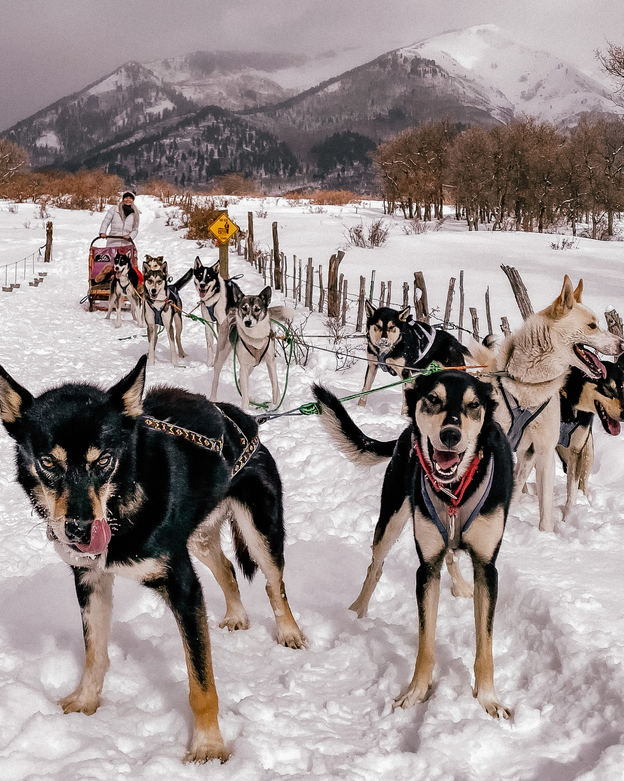 Things to do in Durango, Colorado