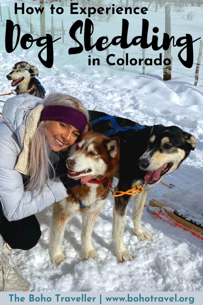 DOG SLEDDING IN DURANGO COLORADO - Dog sledding in colorado is one of the most Unique Winter Activities you can do!  Experience an ancient tradition that is fun for the entire family!  Dog Sledding is an adventure activity that you can do in Durango Colorado.  Mush through the snow with alaskan huskies - learn more about the dog sledding experience and what to bring dog sledding in colorado!  #durango #Colorado #mountains #skitrip #travel #unitedstates #husky #dogsledding #winteractivities