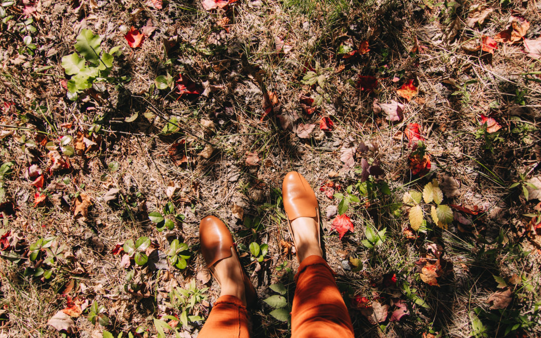 5 New England Fall Foliage Tours to take this Autumn