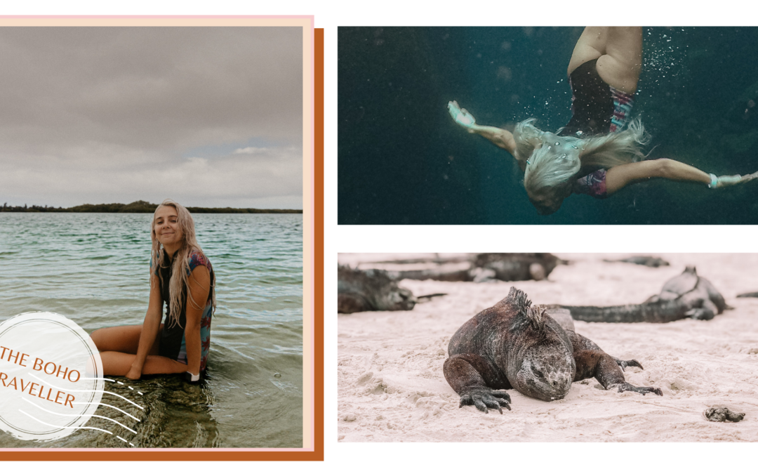 The Galapagos Islands Travel Guide